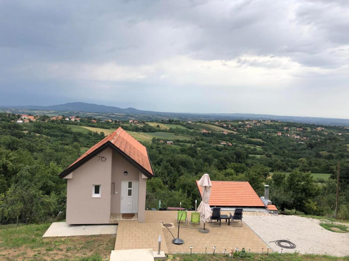 Vila Pogled Appartement Arandelovac Buitenkant foto