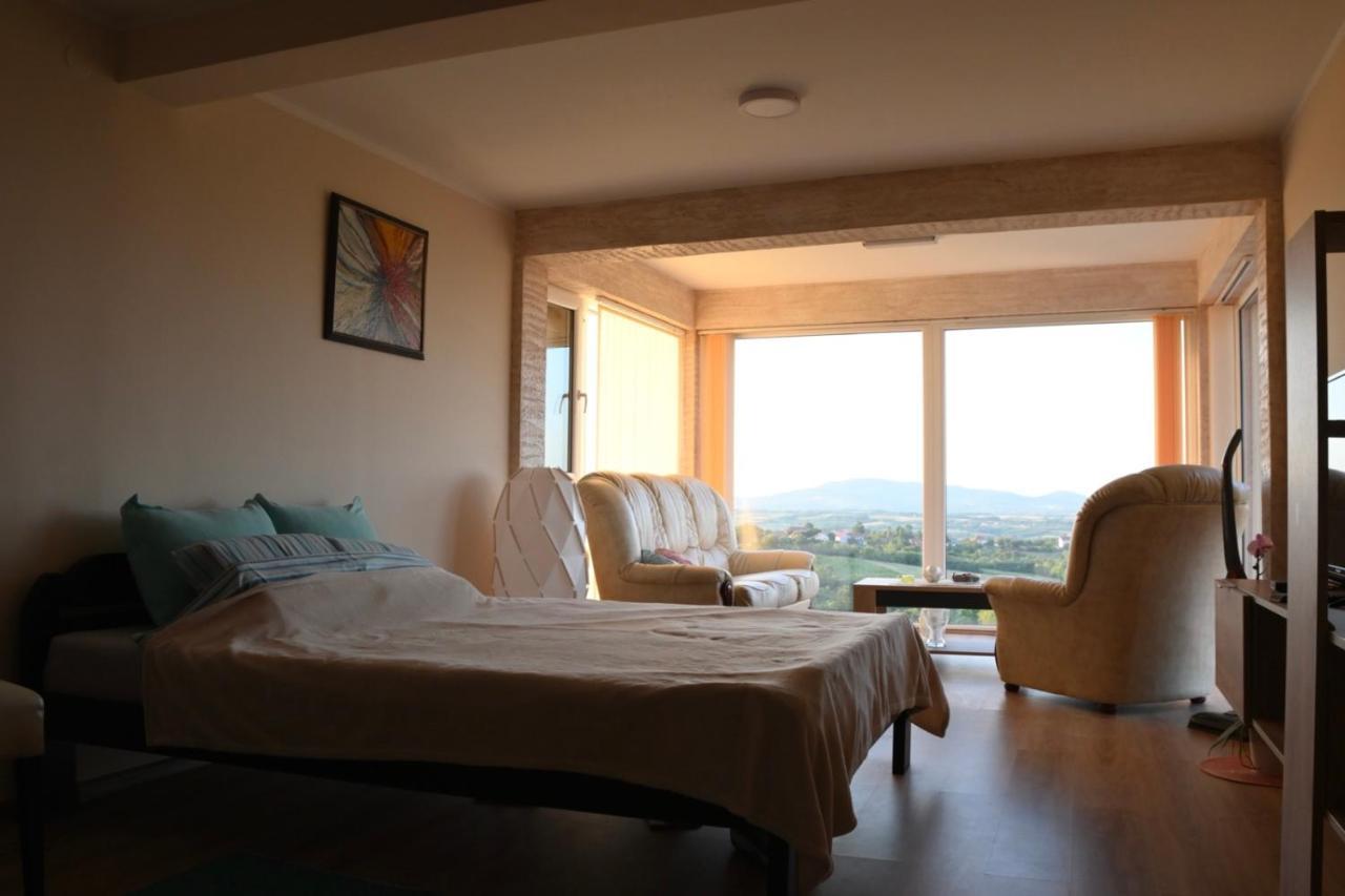 Vila Pogled Arandelovac Buitenkant foto