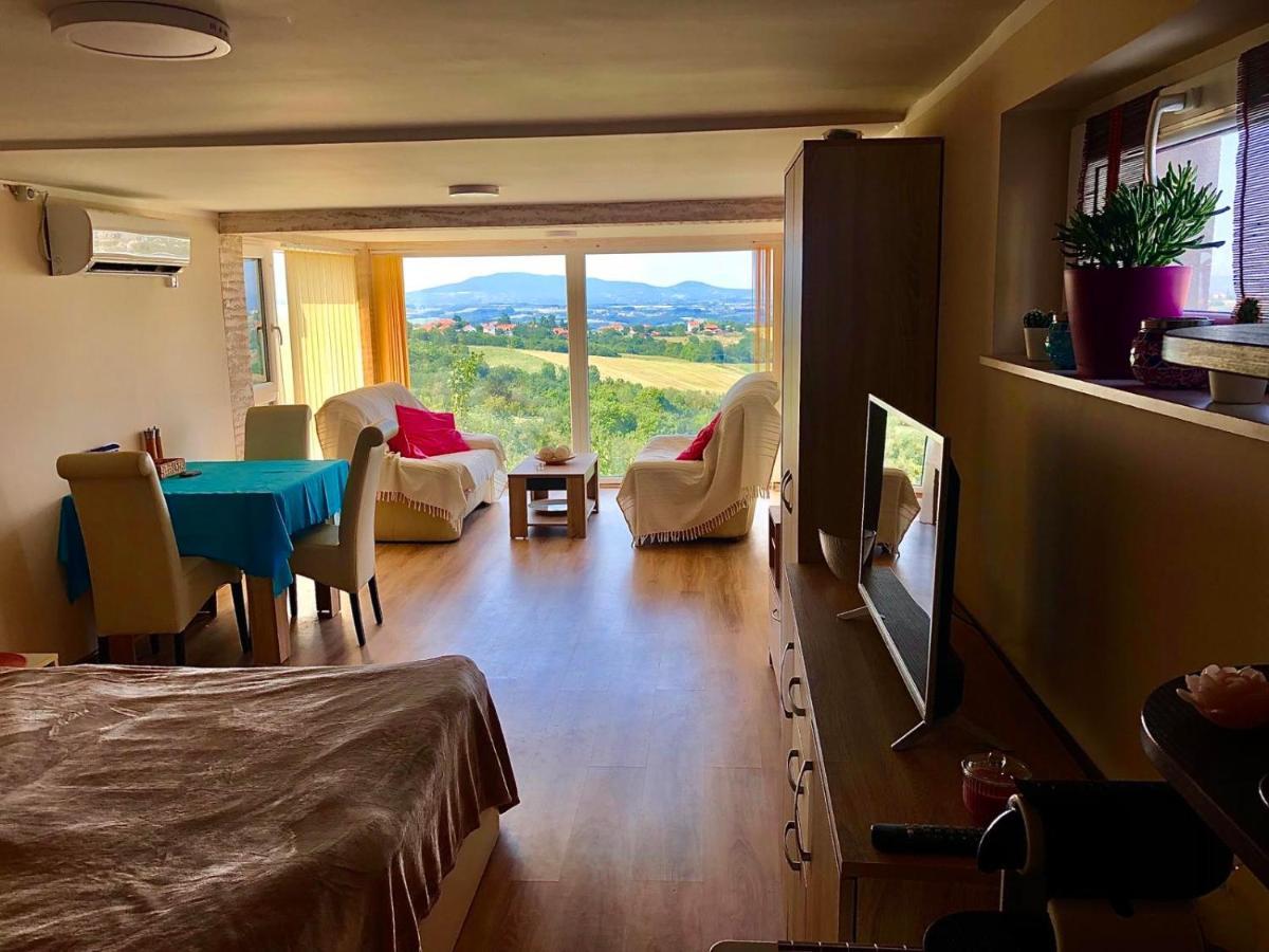 Vila Pogled Arandelovac Buitenkant foto