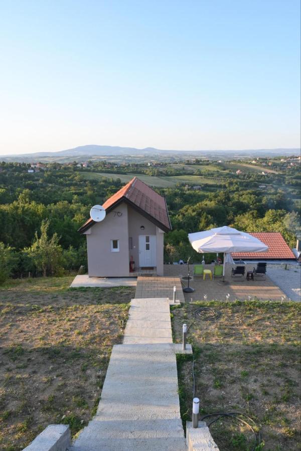 Vila Pogled Appartement Arandelovac Buitenkant foto