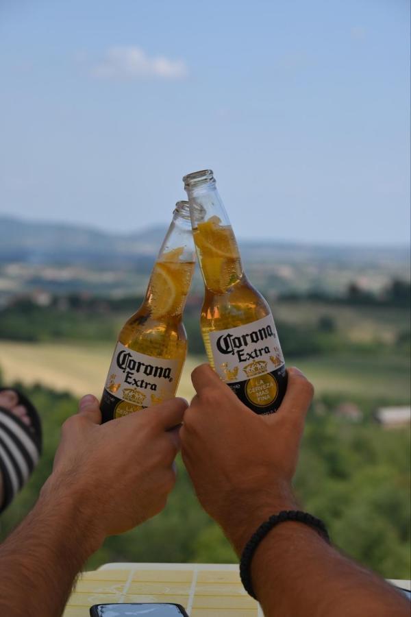 Vila Pogled Arandelovac Buitenkant foto