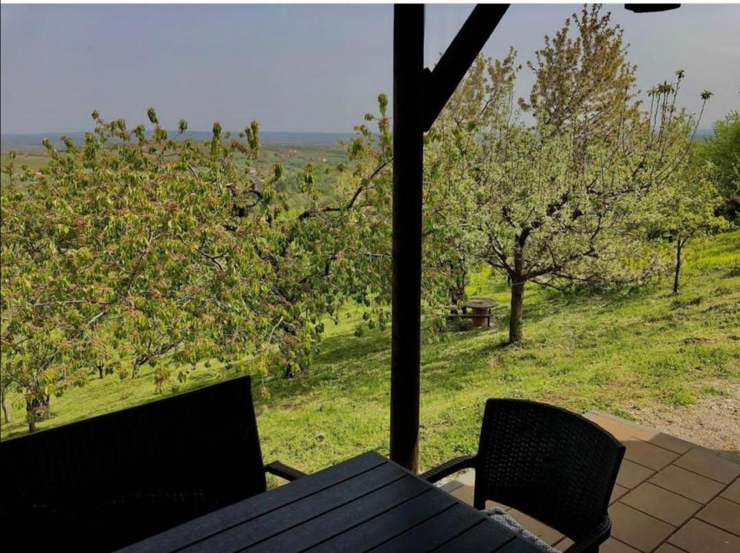 Vila Pogled Arandelovac Buitenkant foto