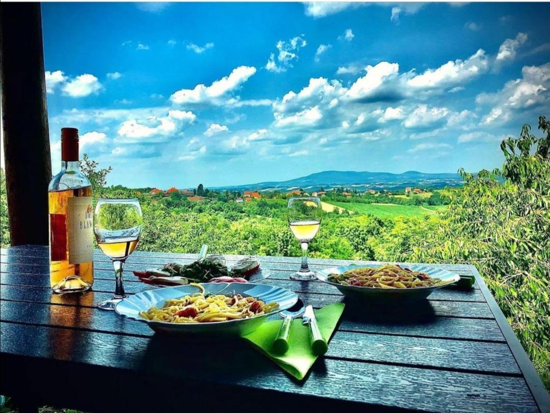 Vila Pogled Arandelovac Buitenkant foto
