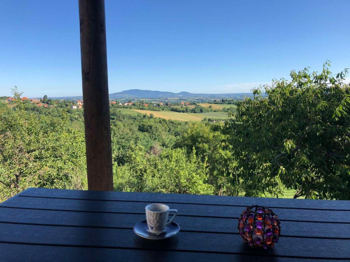 Vila Pogled Arandelovac Buitenkant foto